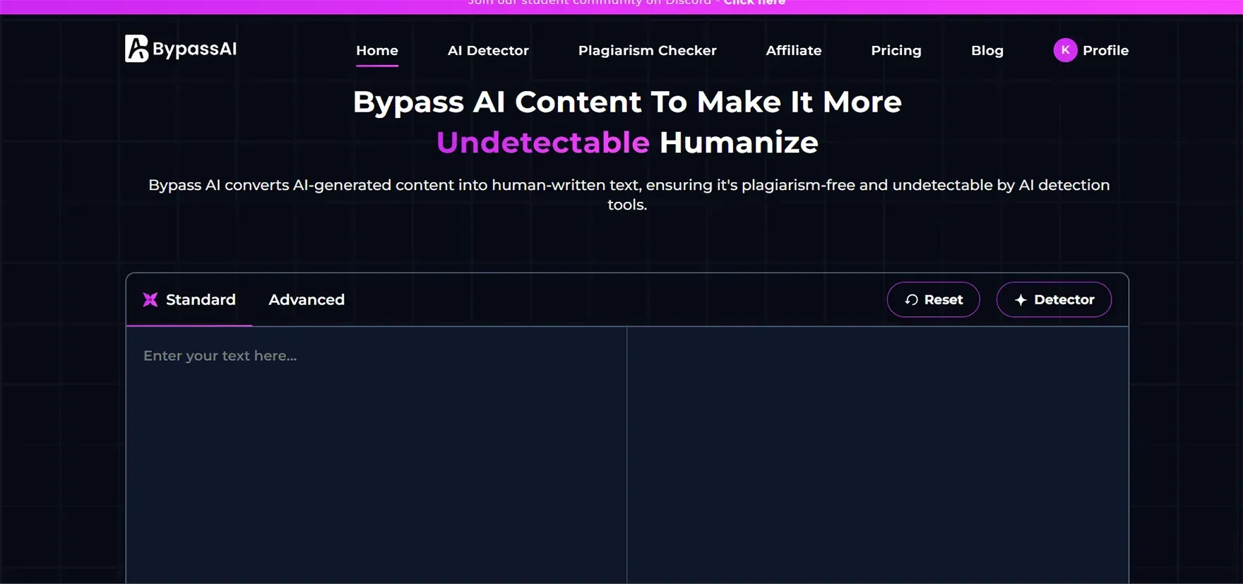 1. BypassAI IO (Best Overall Alternative)