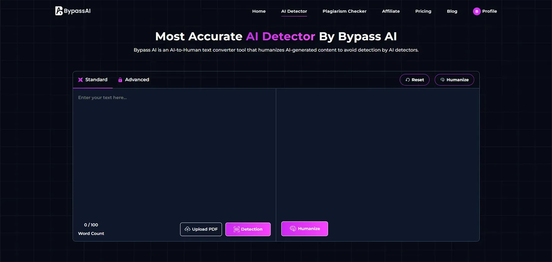 Bypass AI Detector