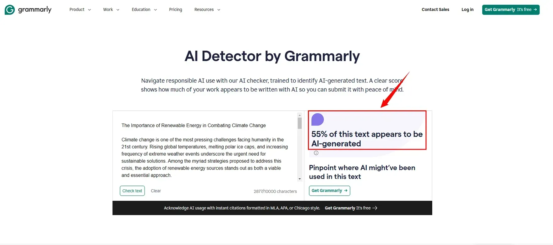 Check_the_Essay_through_Grammarly_AI_Detector_1442232967.webp