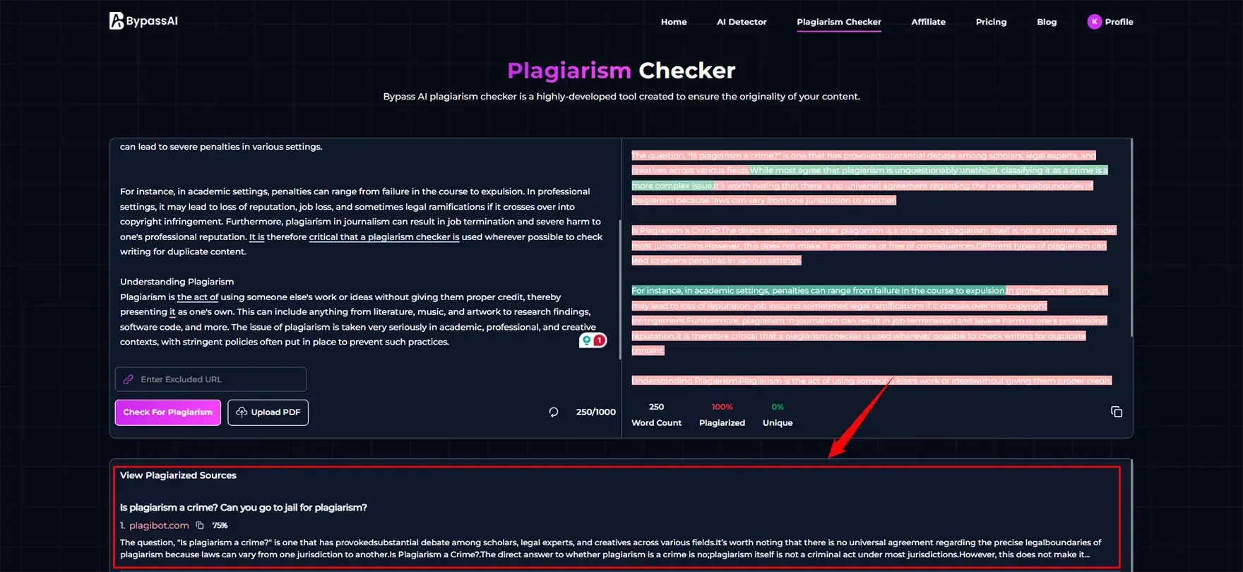 Test_in_Bypassai_IO_Plagiarism_Checker_0105b24b3d.webp