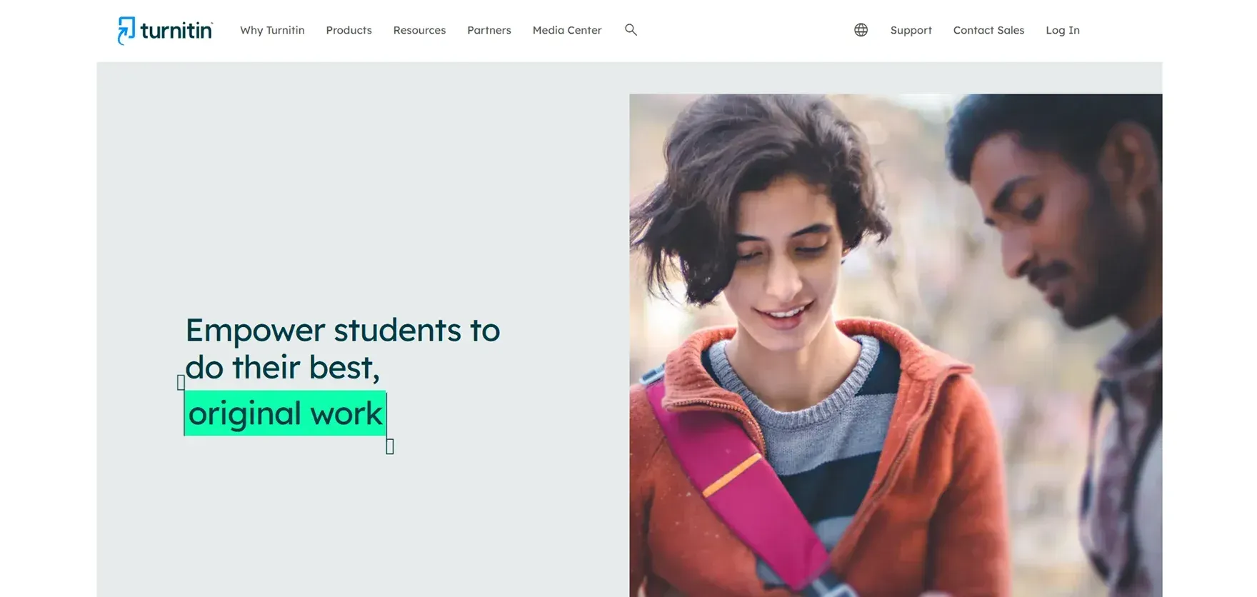 Turnitin AI Detector